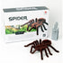 Kaugjuhitav ämblik TARANTULA + KONTROLLER